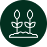 Trees Icon